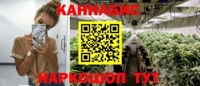 стаф Камень-на-Оби