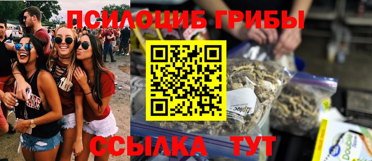 Галлюциногенные грибы Magic Shrooms  купить наркотики сайты  Димитровград  Вход с VPN 